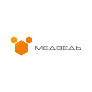 Купить Региональная медицинская информационная система МедВедь - MKS-IKKH-13372 из реестра по лучшей цене