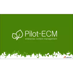 Купить Pilot-ECM - MKS-ASKO-16359 из реестра по лучшей цене
