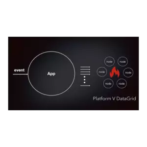 Купить Platform V DataGrid - MKS-SBER-26170 из реестра по лучшей цене