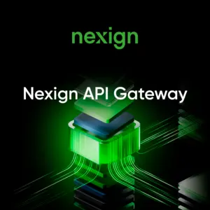 Купить Шлюз доступа Nexign API Gateway - MKS-NEXI-24115 из реестра по лучшей цене