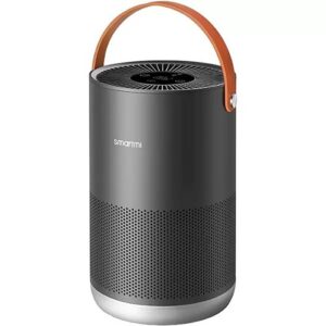 Купить Очиститель воздуха Smartmi ZMKQJHQP11 Air Purifier P1 Темно-серый - X-907281 из реестра по лучшей цене