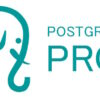 Артикул: X-965307 - Право на использование (электронно) Postgres Pro Enterprise для 1C (сертифицированная версия) на 1 ядро x86-64 - фото