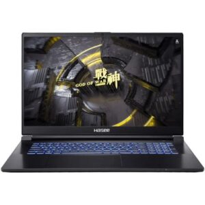 Купить Ноутбук Hasee G8R9 i9-13900H/16GB/1TB SSD/RTX 4060 8GB/17.3" 2.5K IPS/WiFi/BT/cam/noOS/black - X-1076687 из реестра по лучшей цене