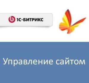 Купить Право на использование (электронно) 1С-Битрикс Управление сайтом - Стандарт - X-447457 из реестра по лучшей цене
