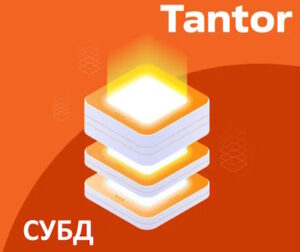 Купить Право на использование ГК Астра СУБД Tantor SE 1C, с PostgreSQL Тантор, х86-64, сервер на 1 физ. или вирт. ядро, электр, бесср, обнов.Тип 1,12м. - X-1043417 из реестра по лучшей цене