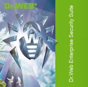 Купить ПО Dr.Web Малый бизнес (сертификат ФСТЭК) 5 ПК/1ФС/5Моб/1 год - X-569403 из реестра по лучшей цене