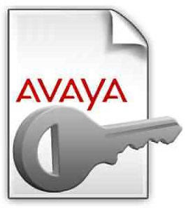 Купить Ключ активации Avaya 228747 UCE R5.2+ AE SVCS R5.X UNFD DSKTP /E - X-218861 из реестра по лучшей цене