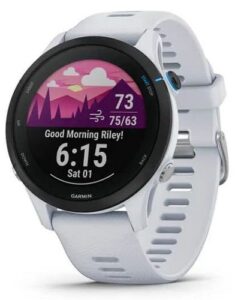 Купить Часы Garmin Forerunner 255 010-02641-31 Music Whitestone, спортивные - X-1027801 из реестра по лучшей цене