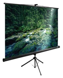 Купить Экран Cactus 165x220см TriExpert CS-PSTE-220x165-BK 4:3 напольный рулонный черный - 4D-14653175 из реестра по лучшей цене