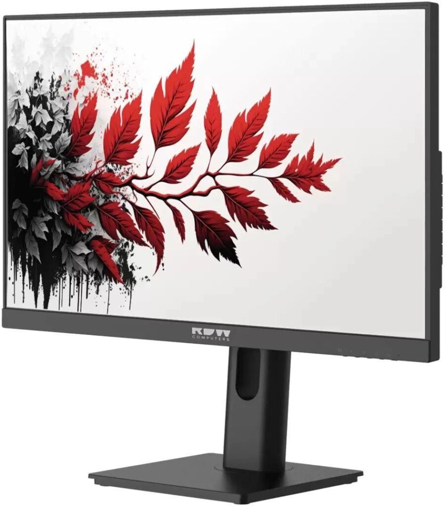 Монитор RDW Computers 27" RDW2701K черный IPS 1ms 16:9 HDMI M/M HAS Piv 1000:1 350cd 178гр/178гр 2560x1440 100Hz DP QHD USB 1.7кг (RUS) — изображение 2