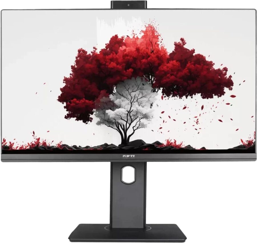 Монитор RDW Computers 23.8" RDW2402K/F00B3 черный IPS 16:9 HDMI M/M Cam матовая HAS Piv 250cd 178гр/178гр 1920x1080 75Hz VGA DP FHD USB (RUS)