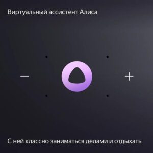 Купить Умная колонка Yandex Станция Миди Алиса серый 24W 1.0 BT/Wi-Fi 10м (YNDX-00054GRY) - 4D-13892496 из реестра по лучшей цене