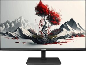 Купить Монитор RDW Computers 23.8" RDW2401K черный IPS 4ms 16:9 HDMI M/M матовая HAS Piv 1000:1 300cd 178гр/178гр 1920x1080 120Hz VGA DP FHD 4.185кг (RUS) - 4D-15161501 из реестра по лучшей цене