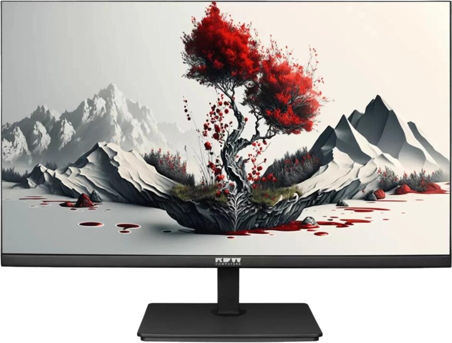 Монитор RDW Computers 23.8" 2401K черный IPS 4ms 16:9 HDMI M/M матовая HAS Piv 1000:1 300cd 178гр/178гр 1920x1080 100Hz VGA DP FHD 1.7кг (RUS)