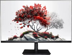 Купить Монитор RDW Computers 27" RDW2701K черный IPS 5ms 16:9 HDMI M/M HAS Piv 1000:1 300cd 178гр/178гр 1920x1080 100Hz VGA DP FHD (RUS) - 4D-15192879 из реестра по лучшей цене