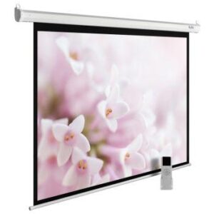 Купить Экран Cactus 240x240см MotoExpert CS-PSME-240x240-WT 1:1 настенно-потолочный рулонный белый (моторизованный привод) - 4D-8676612 из реестра по лучшей цене
