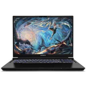 Купить Ноутбук Colorful EVOL X16 Pro 23 Intel Core i7-13700H/16Gb/SSD512Gb/RTX4060 8Gb/16"/IPS/QHD+/240Hz/NoOS/Black (A10205400059) - 4D-14822295 из реестра по лучшей цене