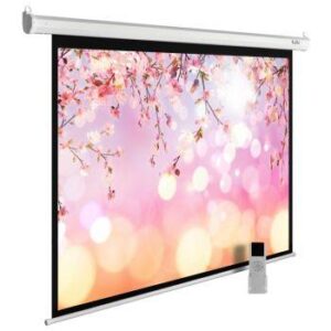 Купить Экран Cactus 220x220см MotoExpert CS-PSME-220x220-WT 1:1 настенно-потолочный рулонный белый (моторизованный привод) - 4D-8676614 из реестра по лучшей цене