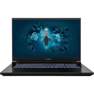 Купить Ноутбук Colorful EVOL X17 Pro Max Intel Core i9-13900HX/32Gb/SSD2Tb/RTX4090 16Gb/17.3"/IPS/QHD/165Hz/Win11/Black (A10205400062) - 4D-14822289 из реестра по лучшей цене