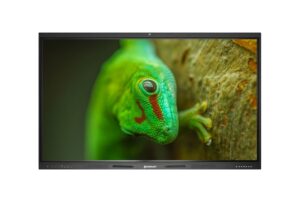 Купить Панели интерактивные Geckotouch Interactive серии RI (ФТПД.466219.004) - GN-4459047 из реестра по лучшей цене