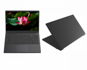 Купить Ноутбук AR Pro 200.1/AMD-028 (ЭМКД.466259.002) - GN-4325607 из реестра по лучшей цене