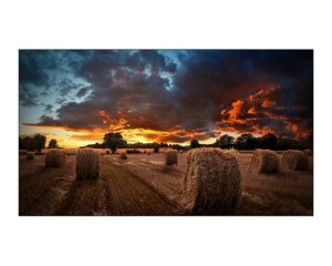 Купить Видеостенная панель Samsung VM46B-U. Характеристики: 46'', 24/7, FHD, 500 нит, стык 3,5 мм - VP-VM46B-U из реестра по лучшей цене