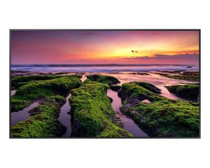 Купить Проф.панель Samsung QM65C. Характеристики: 65'', 24/7, UHD, 500 нит, MagicInfo/SSSP,Tizen 7.0 - VP-QM65C из реестра по лучшей цене