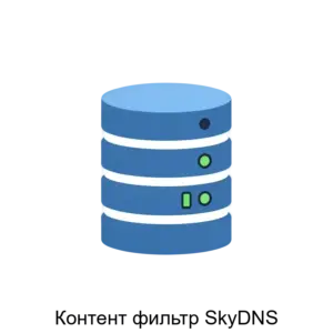 Купить Контент фильтр SkyDNS - MKS-SKAY-12916 из реестра по лучшей цене