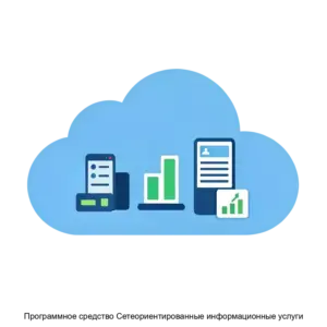 Купить Программное средство Сетеориентированные информационные услуги - MKS-INST-13713 из реестра по лучшей цене