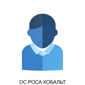 Купить ОС РОСА КОБАЛЬТ - MKS-NTTS-13772 из реестра по лучшей цене