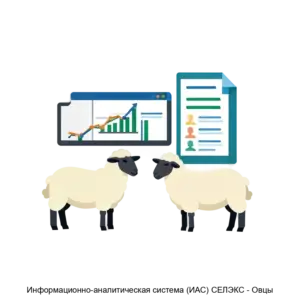 Купить Информационно-аналитическая система (ИАС) СЕЛЭКС - Овцы - MKS-REGI-13818 из реестра по лучшей цене