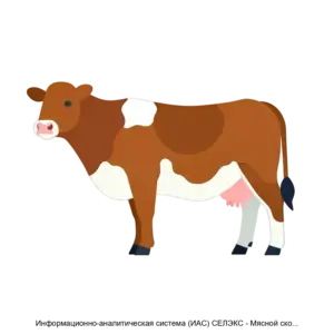 Купить Информационно-аналитическая система (ИАС) СЕЛЭКС - Мясной скот. Племенной учет в хозяйствах - MKS-REGI-13819 из реестра по лучшей цене