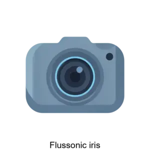 Купить Flussonic iris - ARPP-12038 из реестра по лучшей цене