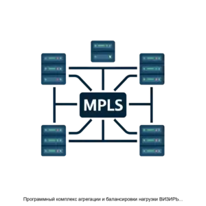 Купить Программный комплекс агрегации и балансировки нагрузки ВИЗИРЬАТ/У - ARPP-12619 из реестра по лучшей цене