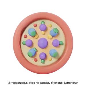 Купить Интерактивный курс по разделу биологии Цитология - ARPP-13134 из реестра по лучшей цене