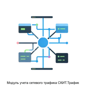 Купить Модуль учета сетевого трафика СКИТ.Трафик - MKS-GLOB-13873 из реестра по лучшей цене