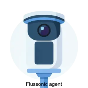 Купить Flussonic agent - ARPP-13160 из реестра по лучшей цене