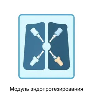 Купить Модуль эндопротезирования - ARPP-13476 из реестра по лучшей цене
