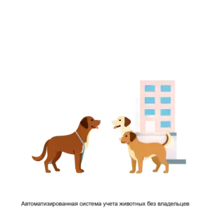 Купить Автоматизированная система учета животных без владельцев - ARPP-13558 из реестра по лучшей цене