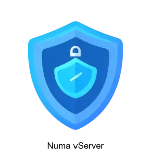 Купить Numa vServer - ARPP-13854 из реестра по лучшей цене