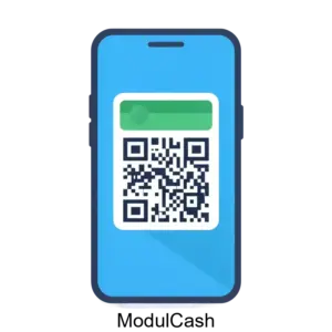 Купить ModulCash - ARPP-13930 из реестра по лучшей цене