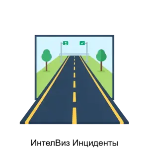 Купить ИнтелВиз Инциденты - ARPP-14510 из реестра по лучшей цене