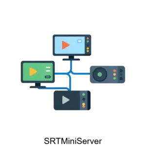 Купить SRTMiniServer - ARPP-14571 из реестра по лучшей цене
