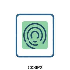 Купить СКSIP2 - ARPP-14708 из реестра по лучшей цене