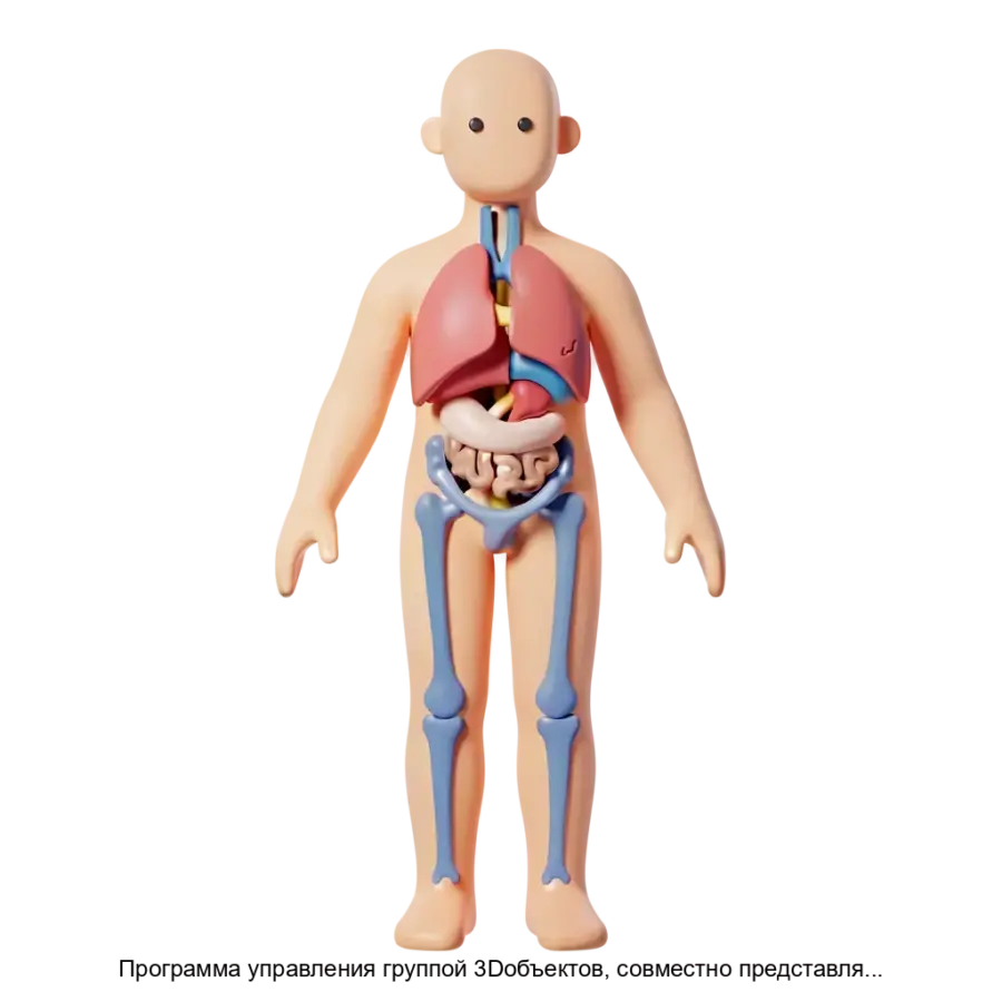 Программа управления группой 3Dобъектов, совместно представляющих анатомически верное тело человека — Интерактивный аппаратно-программный комплекс «Анатомограф» представляет собой высокотехнологичное оборудование.