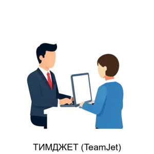 Купить ТИМДЖЕТ (TeamJet) - ARPP-15171 из реестра по лучшей цене