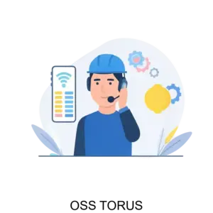 Купить OSS TORUS - ARPP-15313 из реестра по лучшей цене