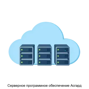 Купить Серверное программное обеспечение Асгард - ARPP-15836 из реестра по лучшей цене