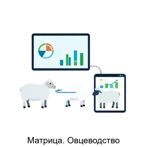 Купить Матрица. Овцеводство - ARPP-15856 из реестра по лучшей цене