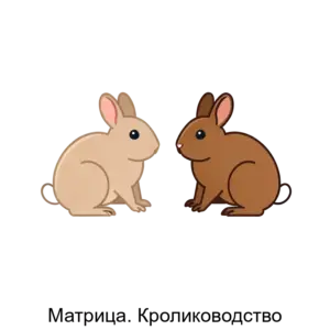 Купить Матрица. Кролиководство - ARPP-15992 из реестра по лучшей цене